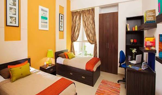 VelvetVista Hotels